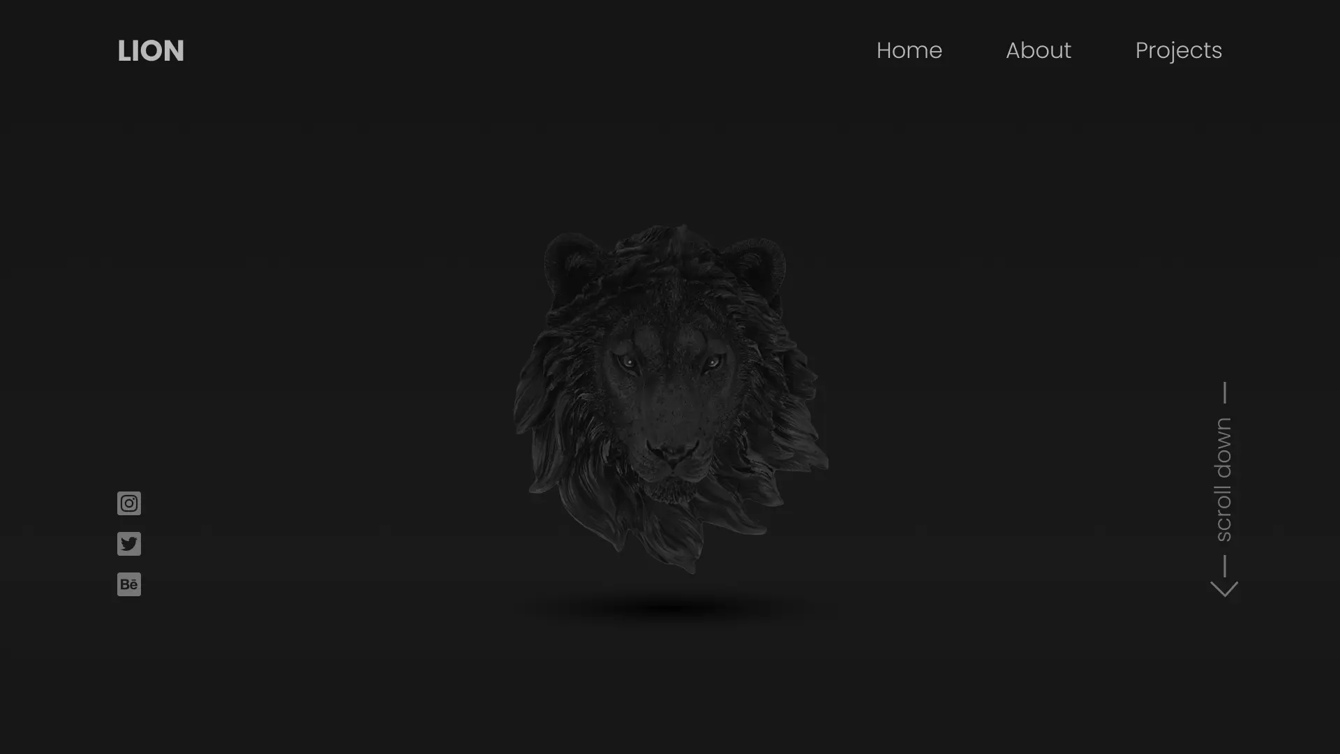 The sketch for the lion idea